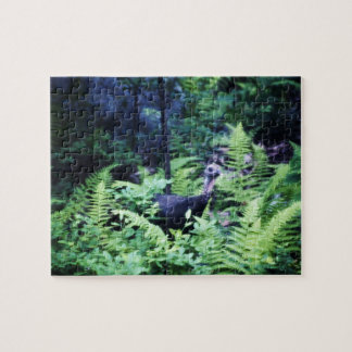 Mother Turkey in Ferns Puzzle