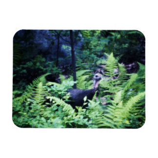 Mother Turkey in Ferns Vinyl Magnet