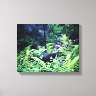 Mother Turkey in Ferns Wrapped Canvas Print