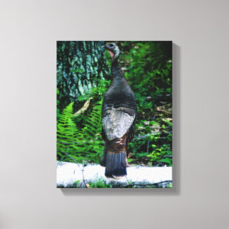 Mother Turkey Wrapped Canvas Print