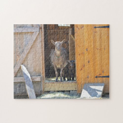 Mother With Baby Goat Puzzle