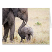 Motherly love (Front Horizontal)