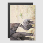 Motherly love (Front/Back)