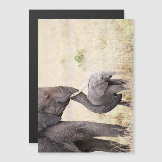 Motherly love (Front/Back)