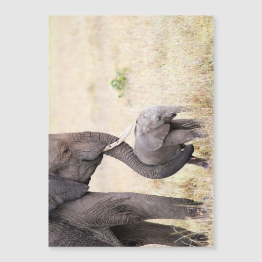 Motherly love (Front)