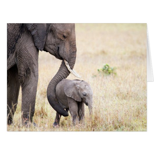 Motherly love (Front Horizontal)