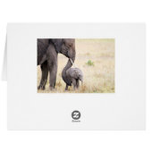 Motherly love (Back Horizontal)