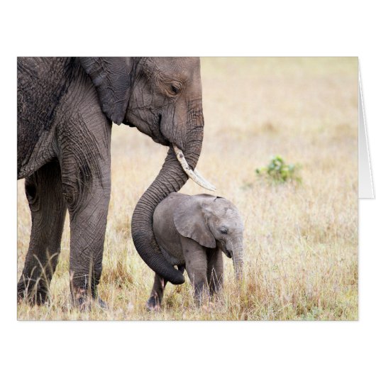Motherly love cards (Front Horizontal)