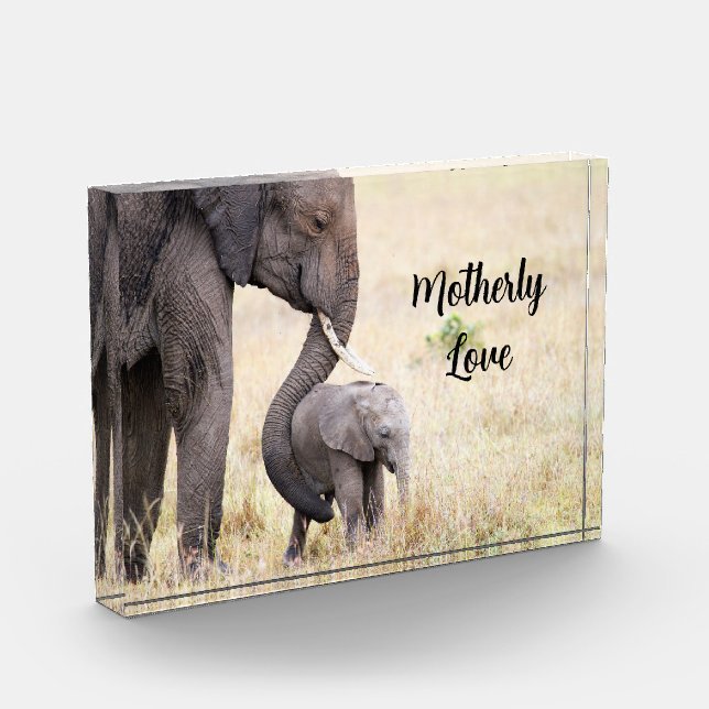 Motherly love elephant baby personalized photo block (Left)