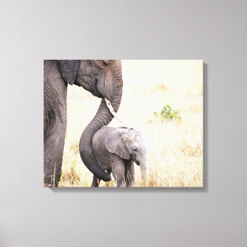 Motherly love elephant baby photo canvas print
