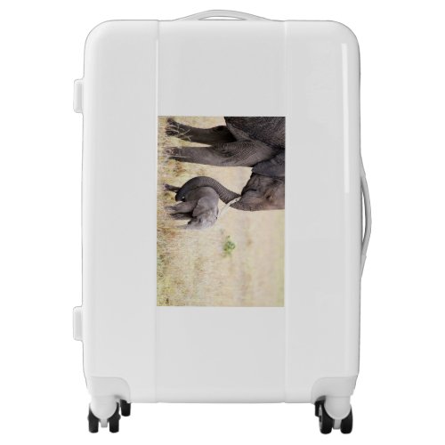 Motherly love elephant baby photo luggage
