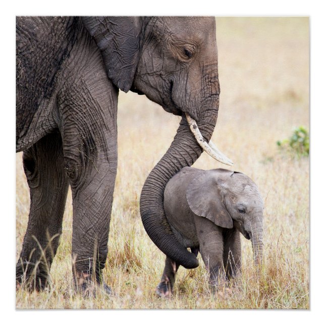 Motherly love poster (Front)