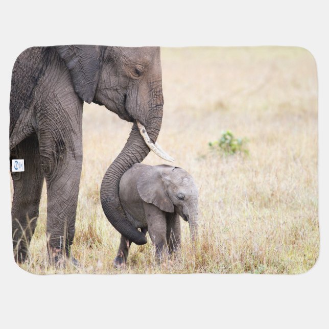 Motherly love stroller blanket (Back Horizontal)