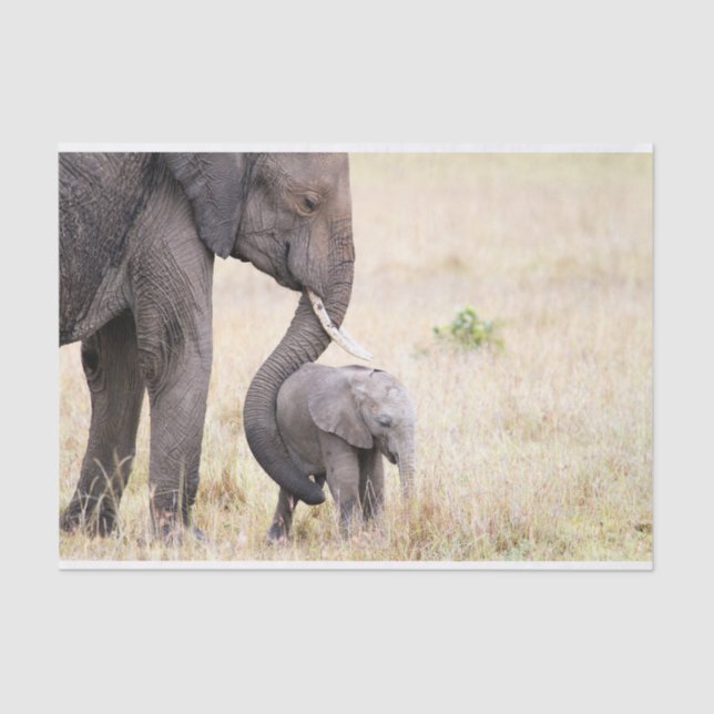 Motherly love tissue paper (Front)