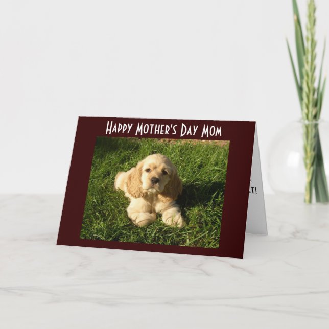 MOTHER'S DAY ADVICE FOR MOM CARD (Front)