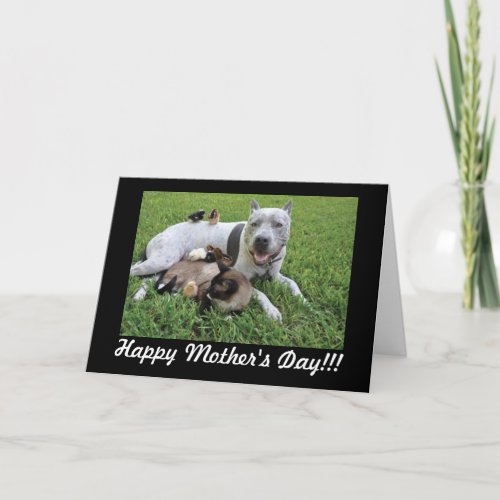 Mothers Day Animal Lover Fur Baby Mom Card