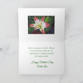 Mother's Day Appreciation/ PRETTY DAYLILY