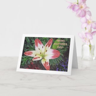 Mother's Day Appreciation/ PRETTY DAYLILY