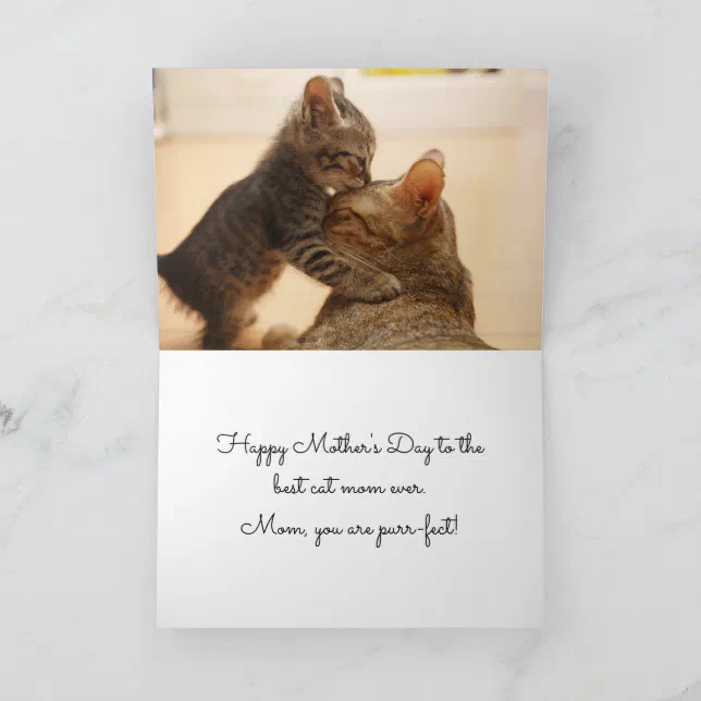 Mother's Day Best Cat Mom Ever - Holiday Card | Zazzle