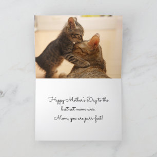 Mother's Day Best Cat Mom Ever - Holiday Card
