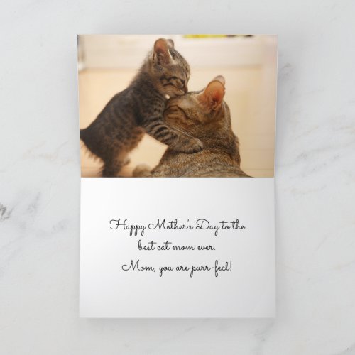 Mothers Day Best Cat Mom Ever _ Holiday Card