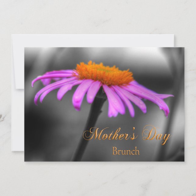Mothers Day Brunch Purple and Orange Coneflower Card (Front)