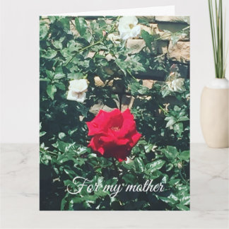 Mother's Day Card