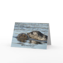 Mother's Day card featuring Harbor seals