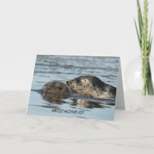 Mother's Day card featuring Harbor seals
