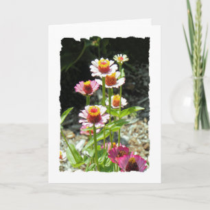 Mother's Day Card for Aunt, Colorful Flowers