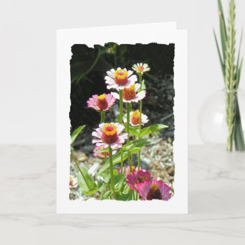 Mothers Day Card for Aunt Colorful Flowers