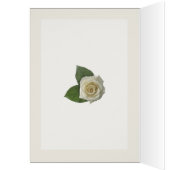 Mother's day card for mother with three pink roses (Inside (Left))