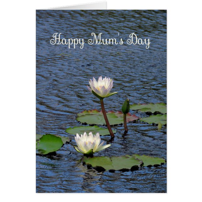Mother's Day Card for Mum, Cream Water Lilies (Front)