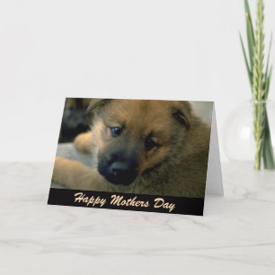 Mothers Day Card from Dog