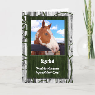 Mother's Day Card from the Horse Photo
