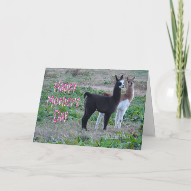 Mother's Day card-llama kids Card (Front)