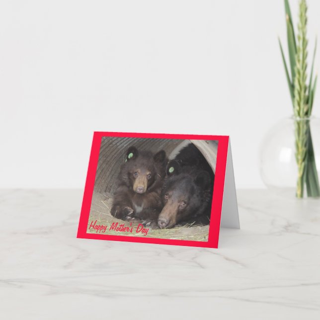 Mother's Day card - mom & cub (Front)