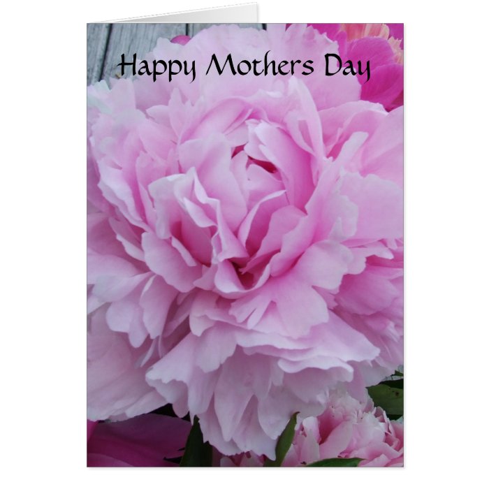 Mothers Day Card Pink Peonies / Peony Flowers