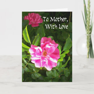 Mother's Day Card - Pink Roses