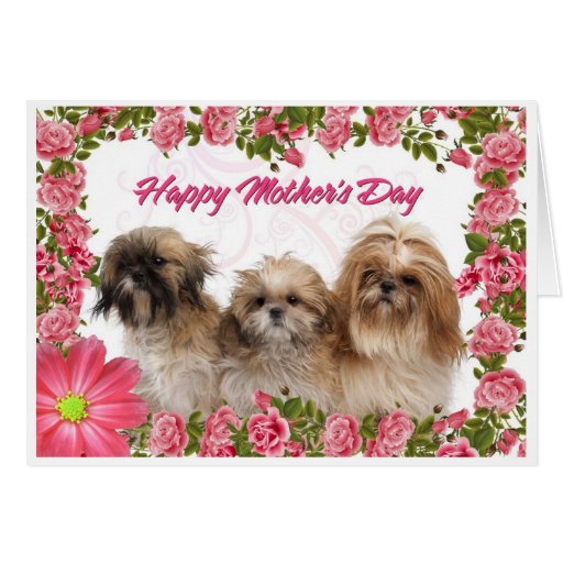 Mother's Day Card - Shih Tzu Dogs - Pink Floral | Zazzle