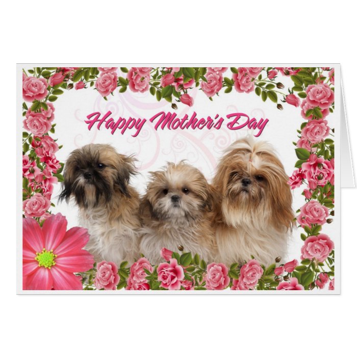 Mother's Day Card   Shih Tzu Dogs   Pink Floral