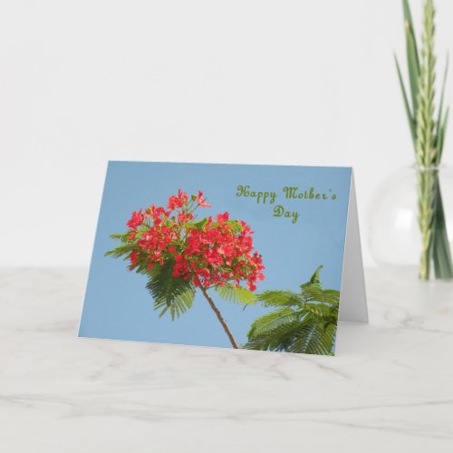 Mothers Day Card with a Royal Poinciana Flower