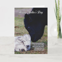 Mother's Day Card With Spring Cow And Calf - Speci