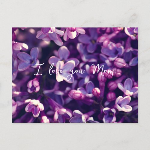 Mothers Day Cards Gift Photo lilac flower Holiday Postcard