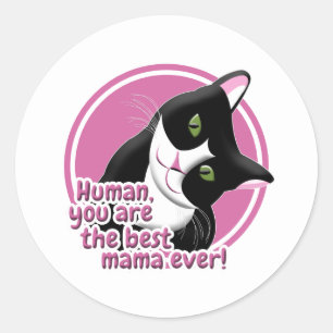 Mother's Day Cat Classic Round Sticker