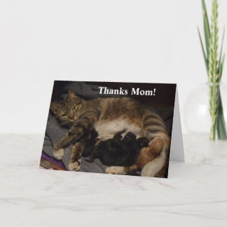 Mothers Day Cat Litter Card