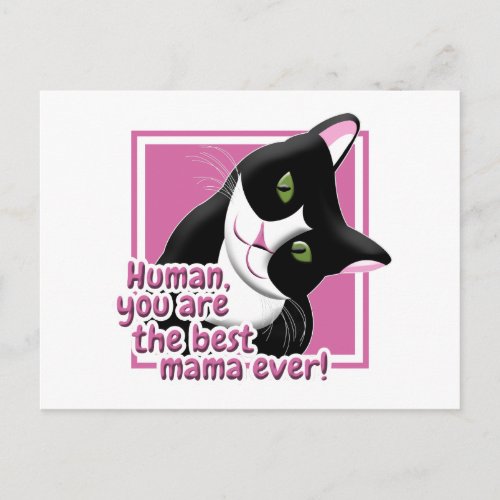 Mothers Day Cat Postcard