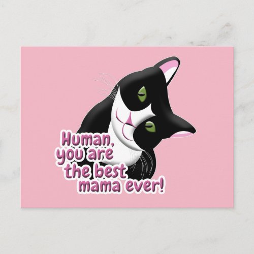 Mothers Day Cat Postcard