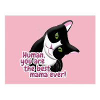 Mother's Day Cat Postcard