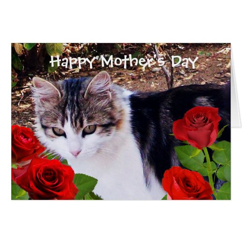 MOTHERS DAY CAT WITH RED ROSES